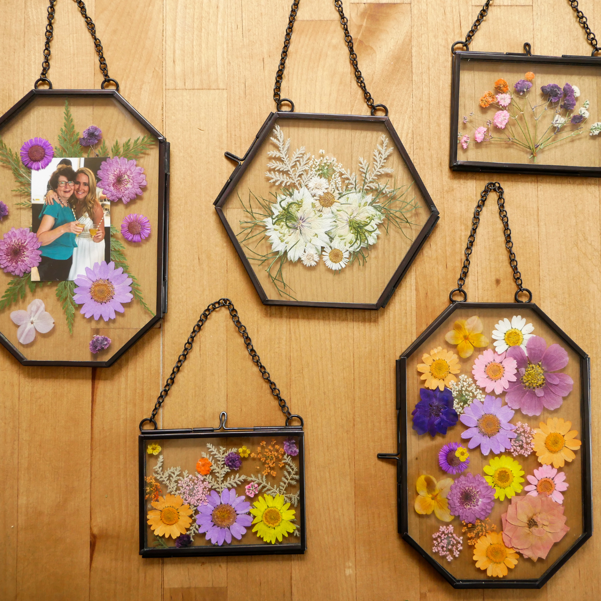 Framed Pressed Flowers Kit