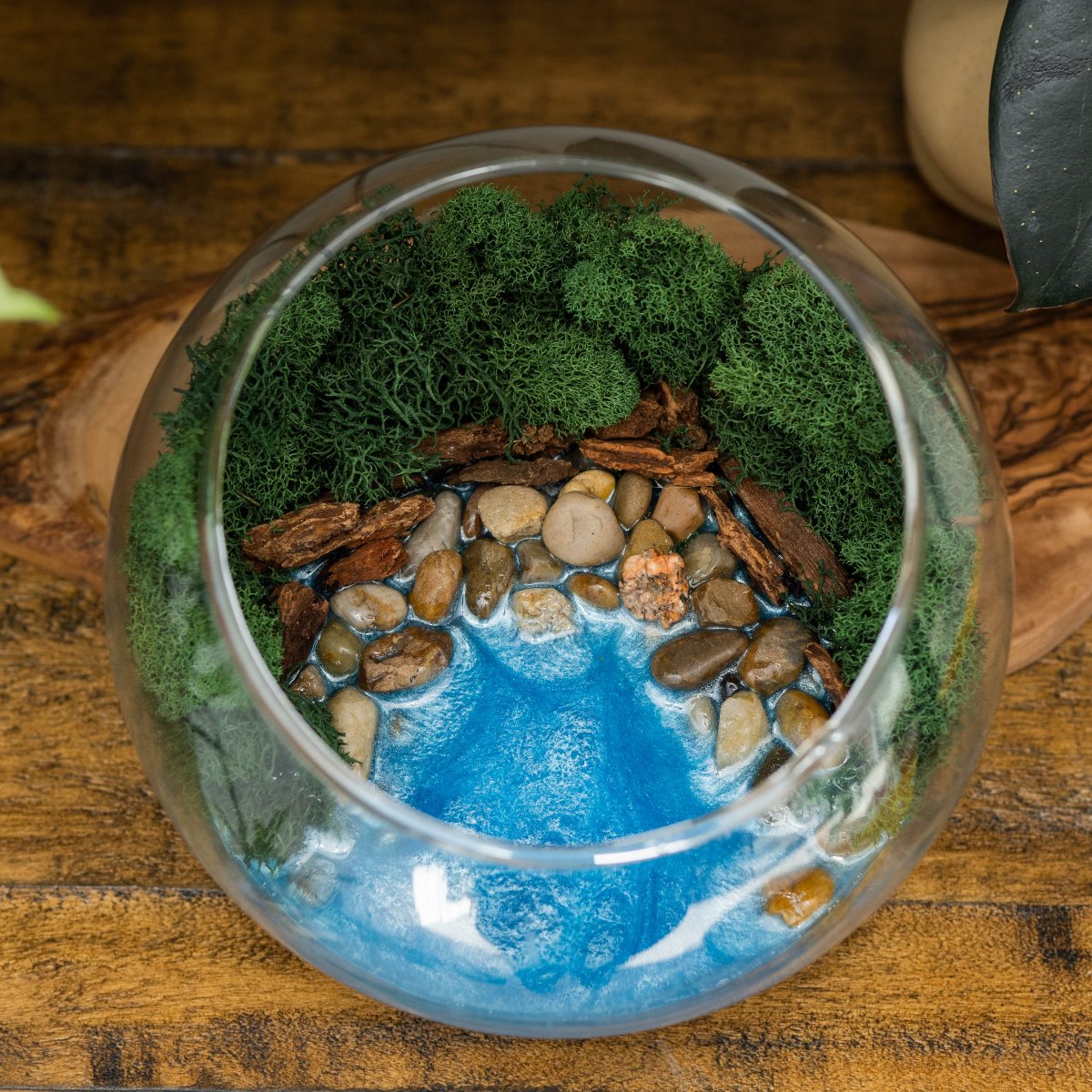 Resin Terrarium Kit