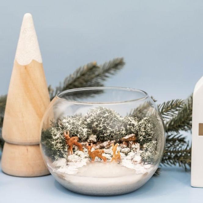 Holiday Kit - Resin Terrarium Kit