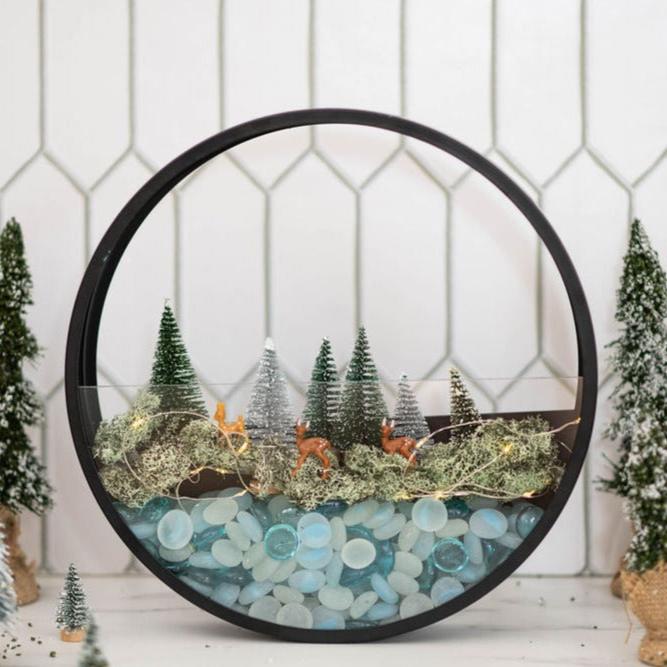 Holiday Kit - Wall Terrarium Kit