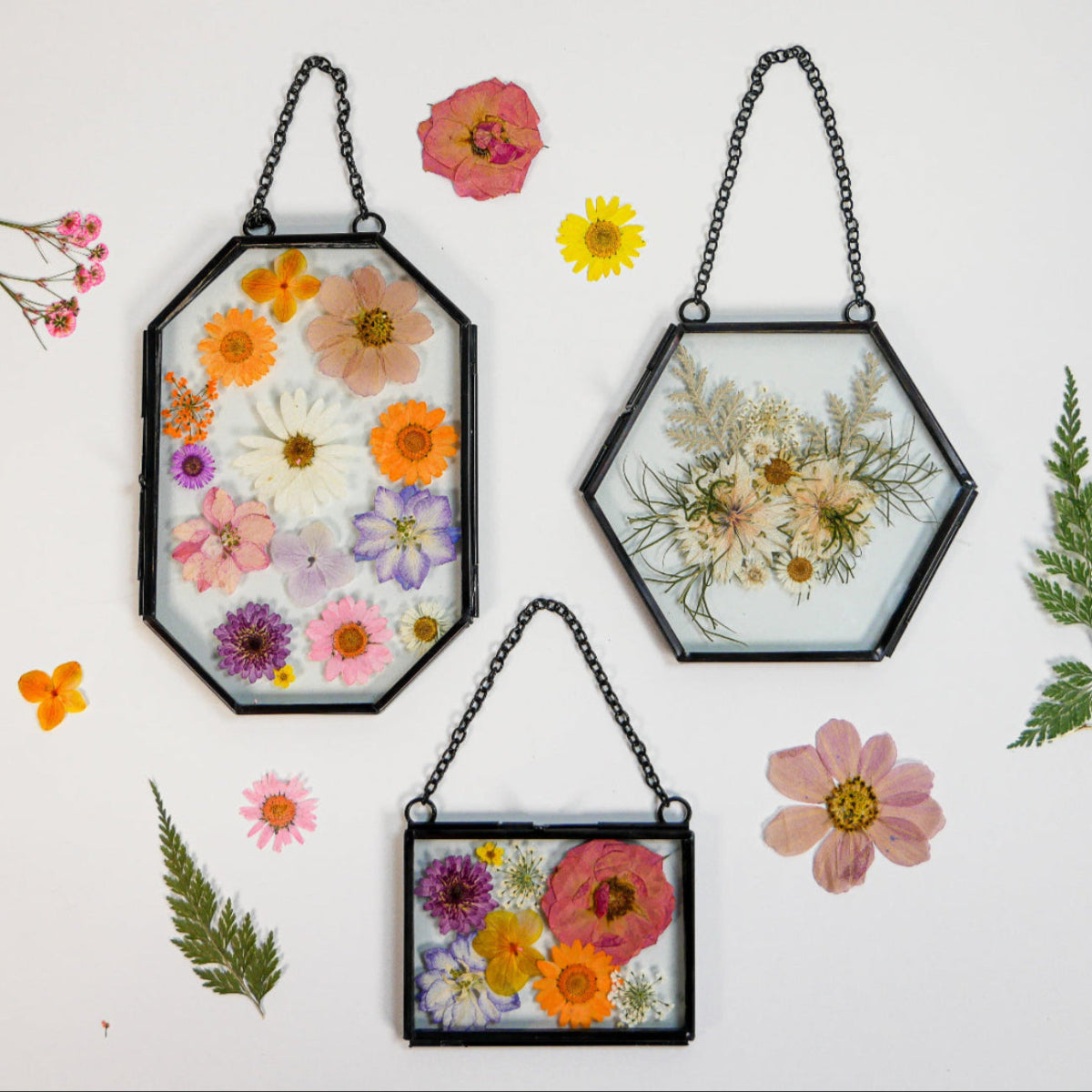 Framed Pressed Flowers Family-Style Craft Pack