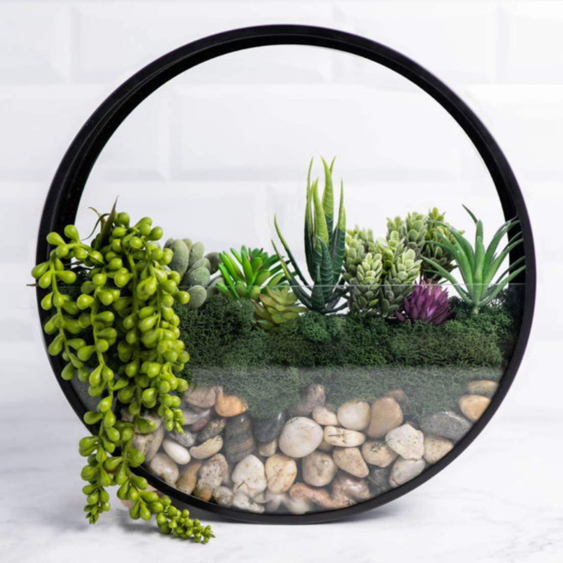 Virtual Wall Terrarium Craft Class