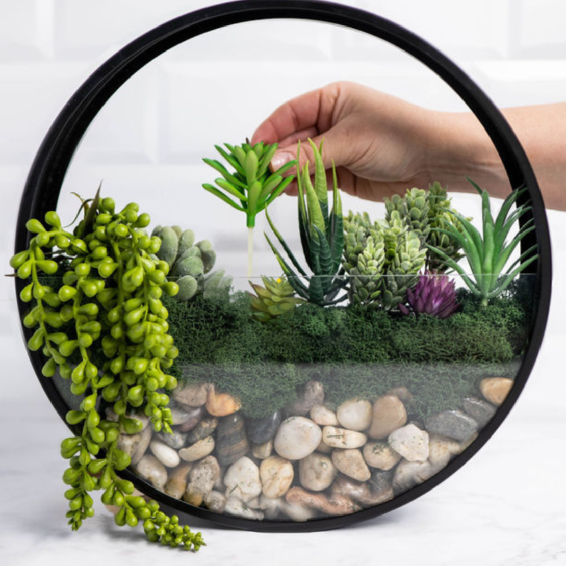 Virtual Wall Terrarium Craft Class