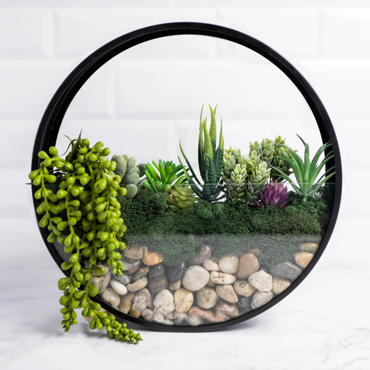 Wall Terrarium Kit