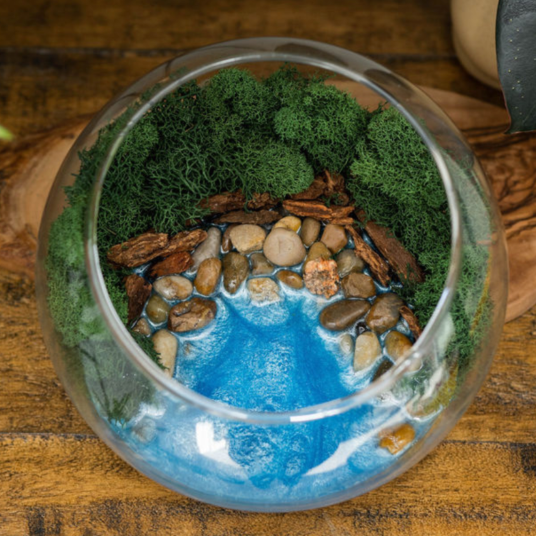 Virtual Resin Terrarium Craft Class