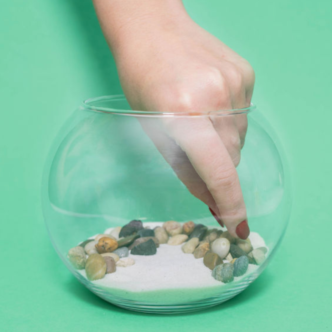 Virtual Resin Terrarium Craft Class