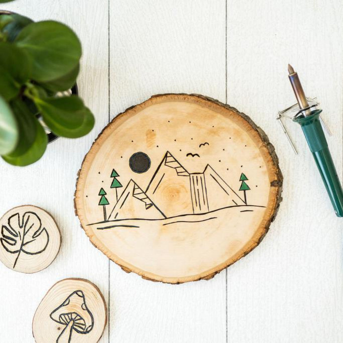 Wood Burning Family-Style Craft Pack