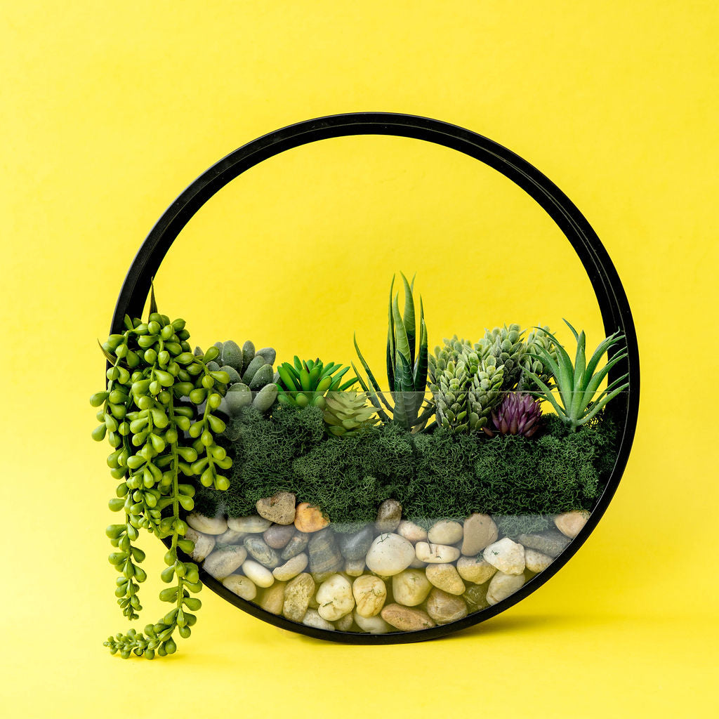 DIY Kit - Luxe Hanging Terrarium Kit — Articulture Designs