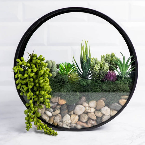 Wall Terrarium Kit – Adults and Crafts